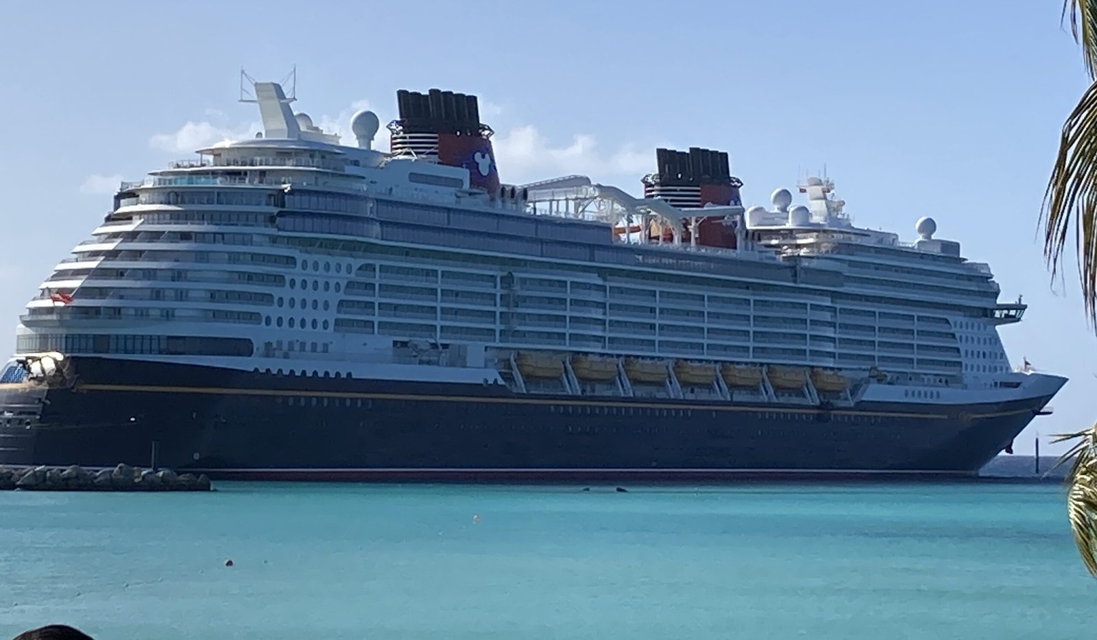 Disney Cruise Line